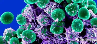 合成生物技術 美陸軍醫(yī)藥領域研發(fā)的戰(zhàn)略新焦點