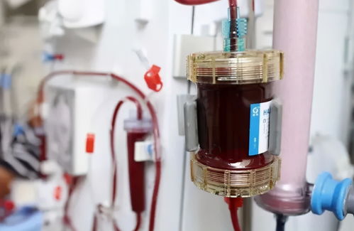 沖動是魔鬼 廣西少年與父母爭吵后喝農(nóng)藥，警醫(yī)聯(lián)手緊急救援